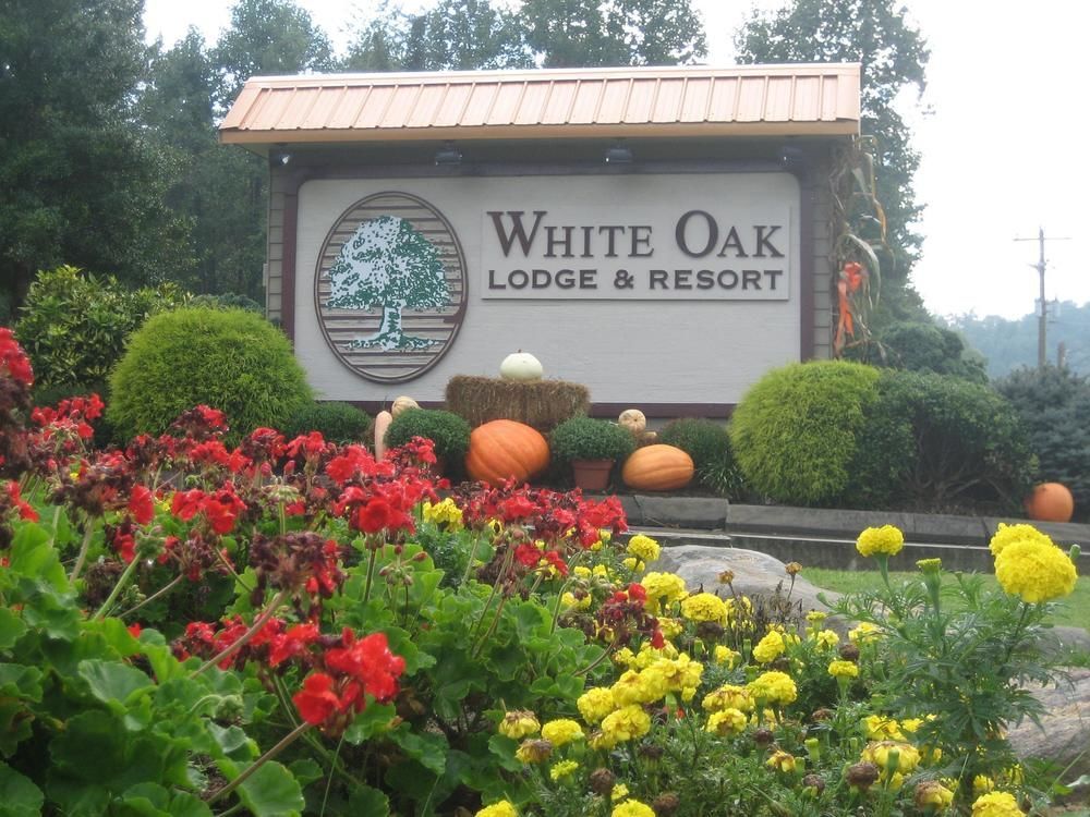 White Oak Lodge And Resort Pittman Center Екстер'єр фото